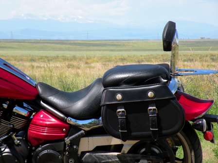 Yamaha raider sales swingarm bag